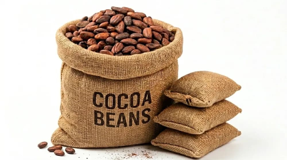 Cocoa Beans